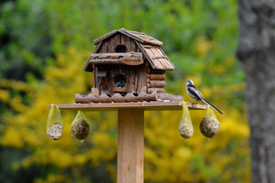 Vogelfutterhaus Test 2025: Die 5 besten Vogelfutterhäuser